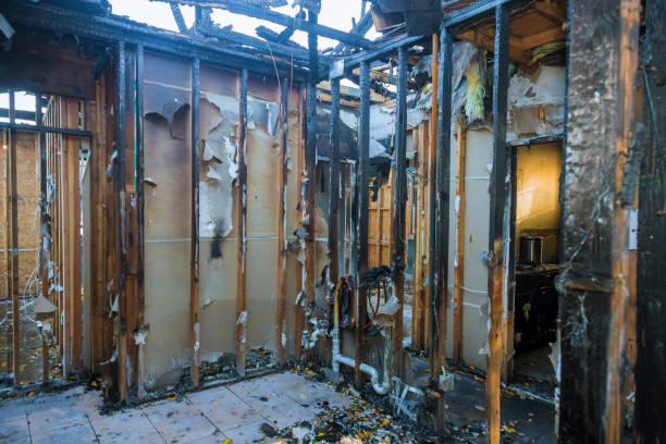 Professional Fire Damage Removal technician working in Collingswood, NJ