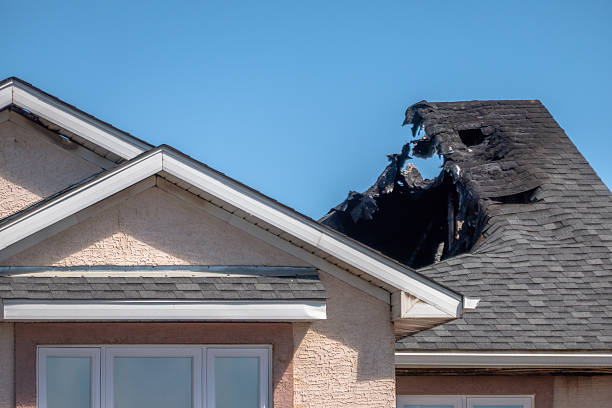 Top rated local Fire Damage Removal specialists in Collingswood, NJ